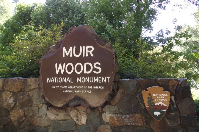 Muir Woods and Sausalito (Return by Bus or Ferry) - Sausalito after the forest