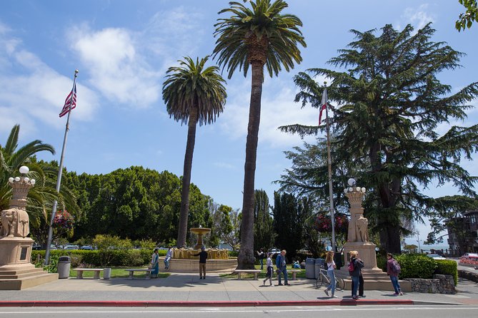 Muir Woods and Sausalito (Return by Bus or Ferry) - Ninety minutes beneath the coastal redwoods