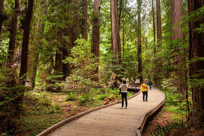 Muir Woods and Sausalito Tour Plus Bay Cruise - Sausalito: pretty, compact, and easy to underestimate