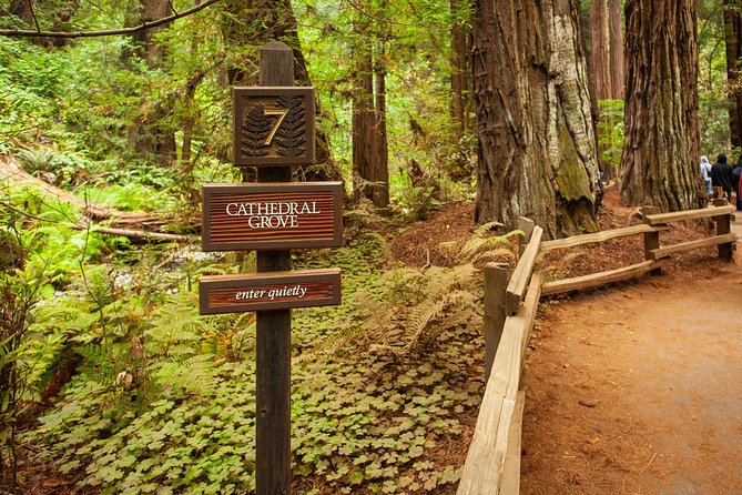 Muir Woods and Sausalito Tour Plus Bay Cruise - How the timing affects the day