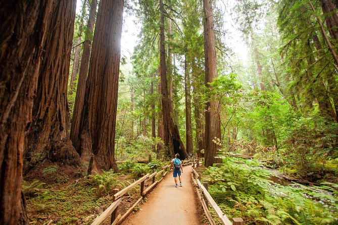 Muir Woods and Sausalito Tour Plus Bay Cruise - Guides, buses, and the small practical risks