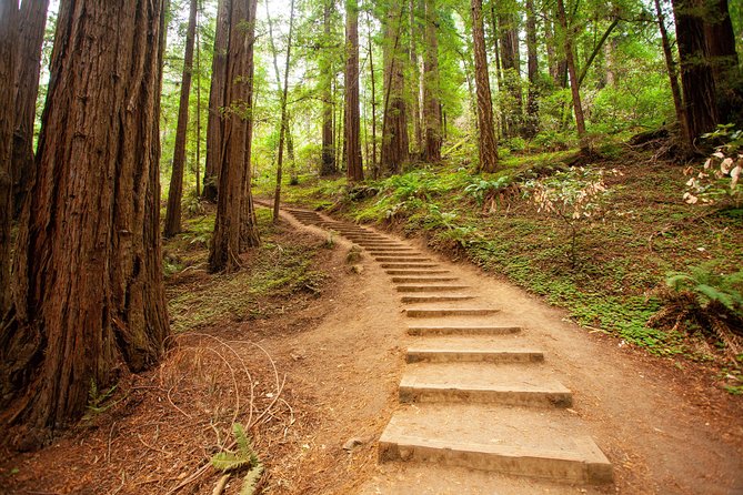 Muir Woods and Sausalito Tour Plus Bay Cruise - North Vista Point and the bridge’s best land view
