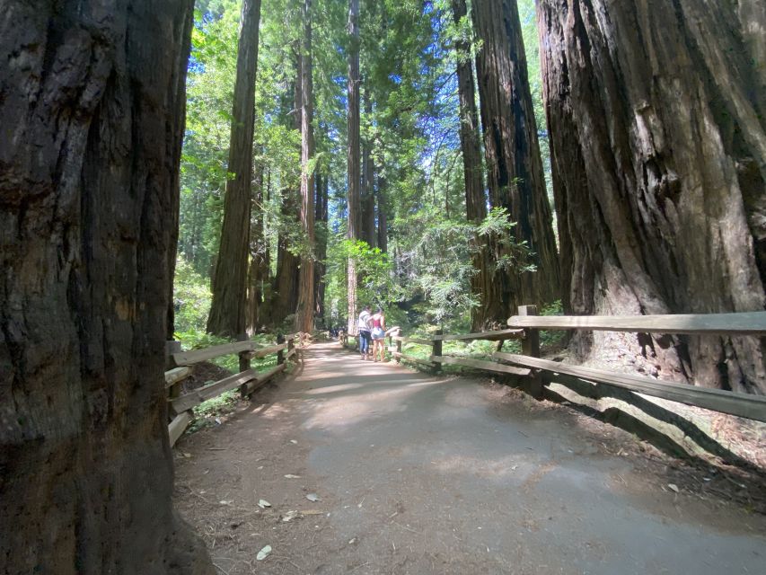 Muir Woods, Golden Gate Bridge & Sausalito Private Tour 3+hr - The Presidio, Marin County, and the return drive