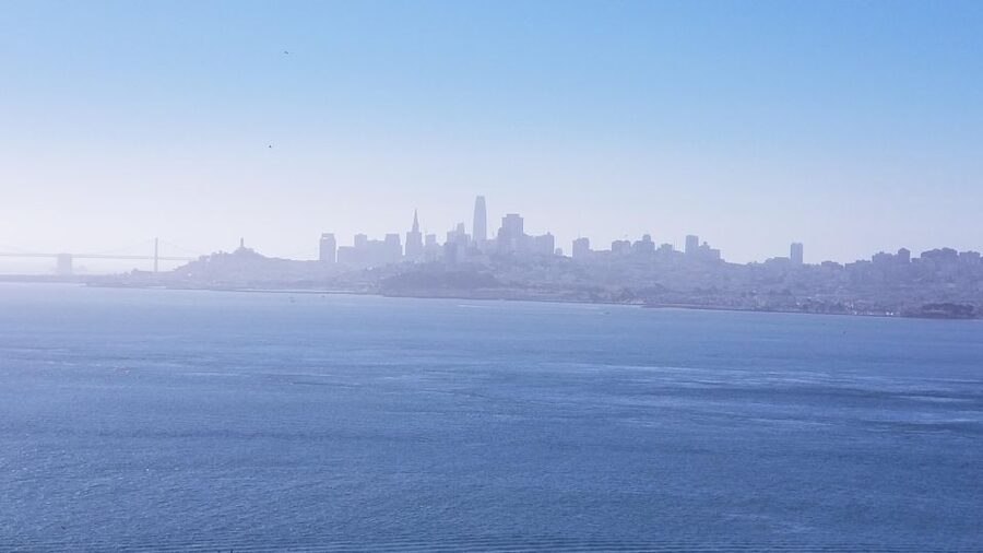 Muir Woods, Sausalito and Ferry back to Fisherman's Wharf - The ferry back to Fisherman’s Wharf