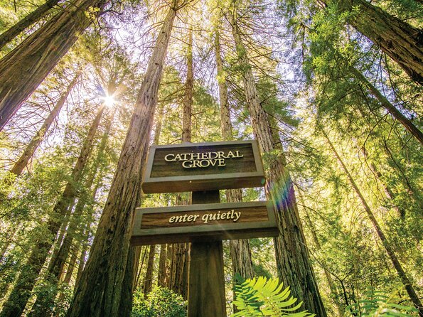 Muir Woods & Sausalito Tour - What the $99.99 price really buys