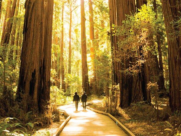 Muir Woods & Sausalito Tour - The guide can make or break the day