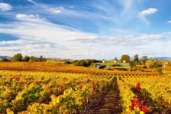 Muir Woods & Wine Tour: Redwoods & Tastings at 3 Wineries - How much value do you get for $199?