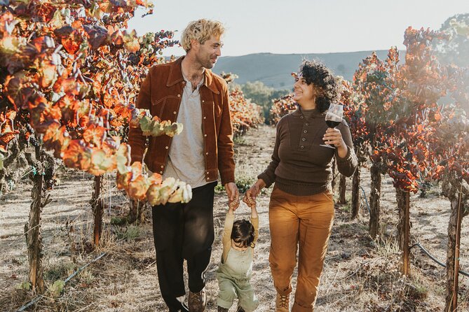 Napa and Sonoma Wine Tour from San Francisco - Sonoma Plaza is the day’s breathing room