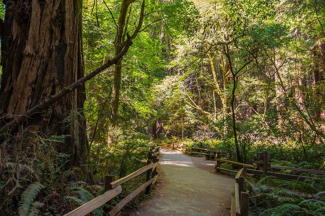 One Day in San Francisco: Alcatraz, Muir Woods, and SF City Tour - Crossing the Golden Gate Bridge