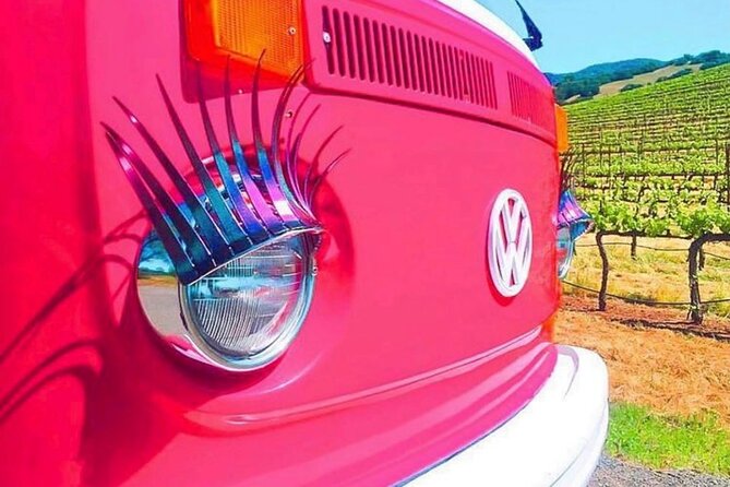 Painted Ladies Wine Country Tour - VJB Cellars: Wine, Italian Food, and a Proper Lunch Break