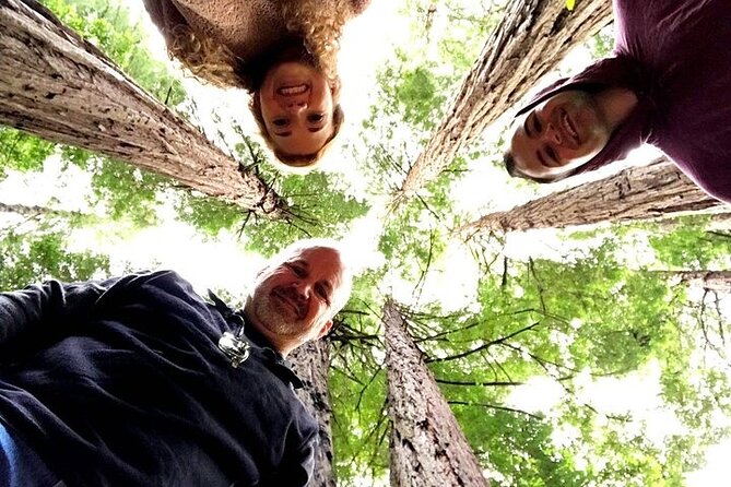 Private Muir Woods Tour + Golden Gate Bridge Stops (3 Hrs, Max 6) - One quiet hour among Muir Woods redwoods