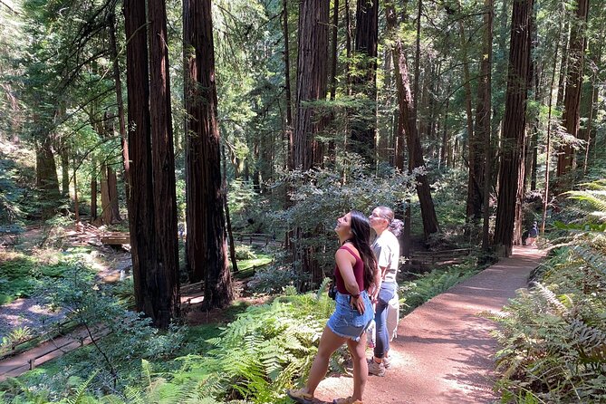 Private Muir Woods Tour + Golden Gate Bridge Stops (3 Hrs, Max 6) - Muir Beach, Marin Headlands, and Pacific views