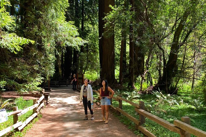 Private Muir Woods Tour + Golden Gate Bridge Stops (3 Hrs, Max 6) - Guides, comfort, and the small-group feel