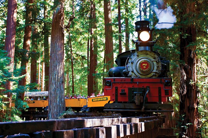 Redwood Forest, Santa Cruz Harbor 1-Day Trip from San Francisco - Key points to know before booking