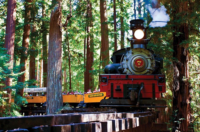 Redwood Forest, Santa Cruz Harbor 1-Day Trip from San Francisco - Getting there can be the hardest part