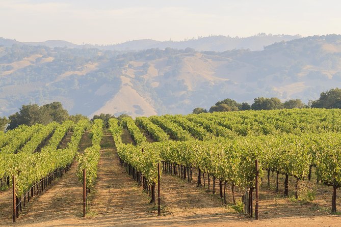 Russian River Weekend Wine Tasting & Gourmet Lunch - My booking advice