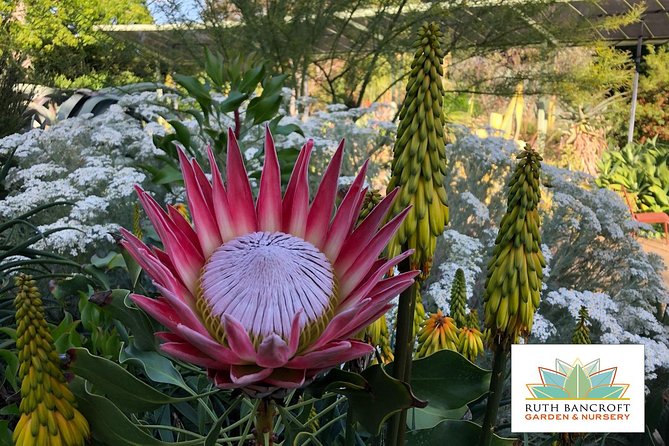 Ruth Bancroft Garden General Admission Ticket - Key points to know before you go