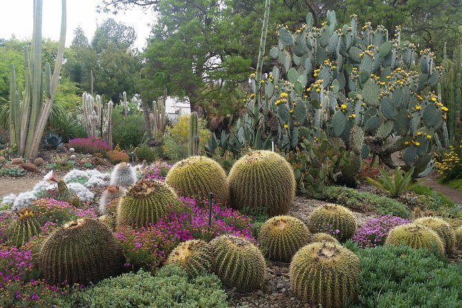Ruth Bancroft Garden General Admission Ticket - Walking the 3.5-acre collection