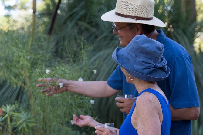 Ruth Bancroft Garden General Admission Ticket - Seating, picnicking, and the pace of a visit