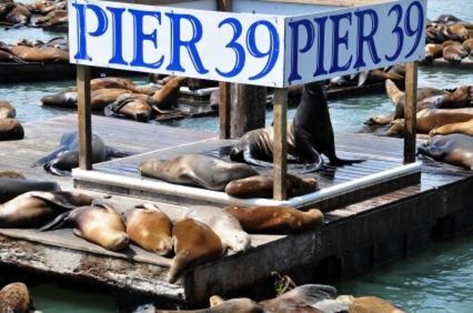 San Francisco - 7D Ride Experience at PIER 39 - Key points to know before you go