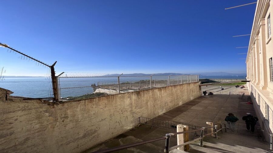 San Francisco: Alcatraz, Muir Woods and Sausalito Day Tour - How the tour compares with planning it yourself