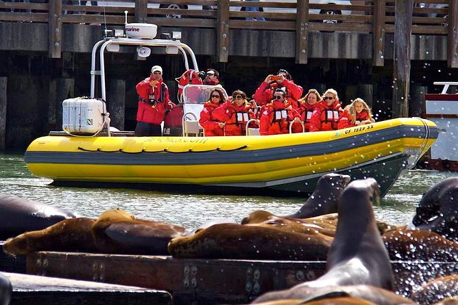 San Francisco Bay Adventure Sightseeing Cruise - The ride is exciting, but not gentle