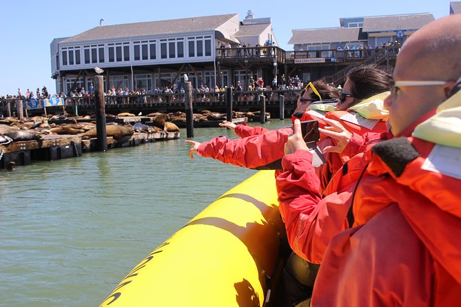 San Francisco Bay Adventure Sightseeing Cruise - Who should book this San Francisco Bay ride?