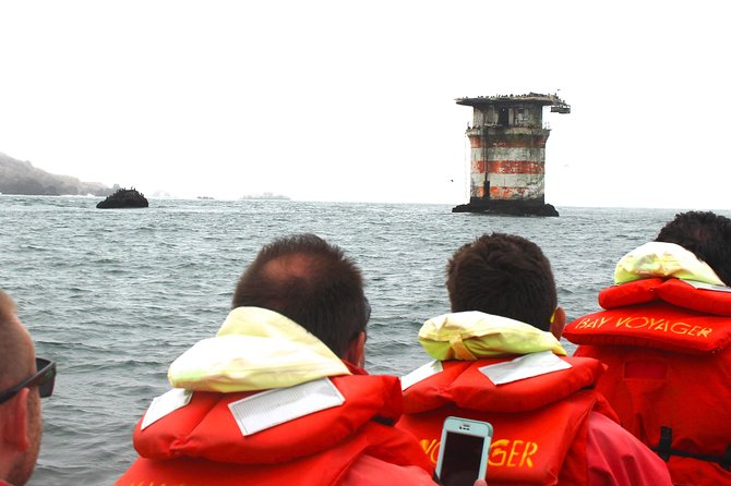 San Francisco Bay Adventure Sightseeing Cruise - Should you book it?