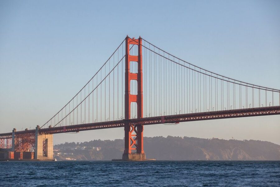 San Francisco Bay Sunset Cruise by Luxury Catamaran - Sea lions, dolphins, pelicans, and open water
