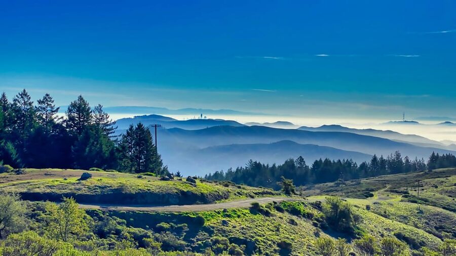 San Francisco: Bike Tour with Muir Woods and Sausalito Visit - Who will enjoy this day most