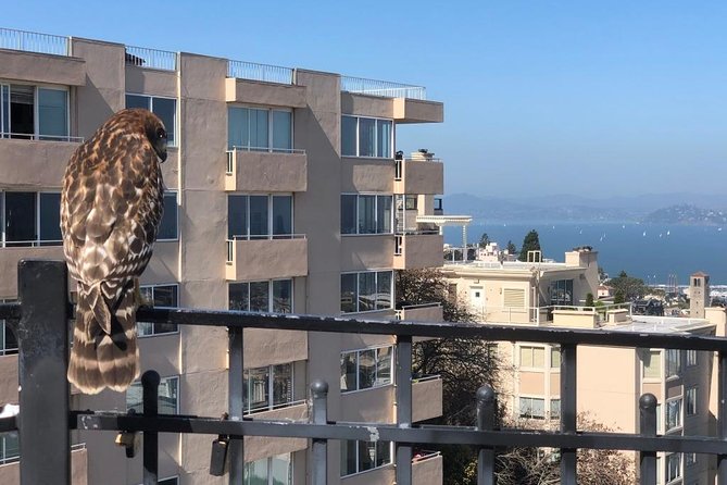 San Francisco Chinatown, Russian Hill, And North Beach Tour - Key points to know before booking