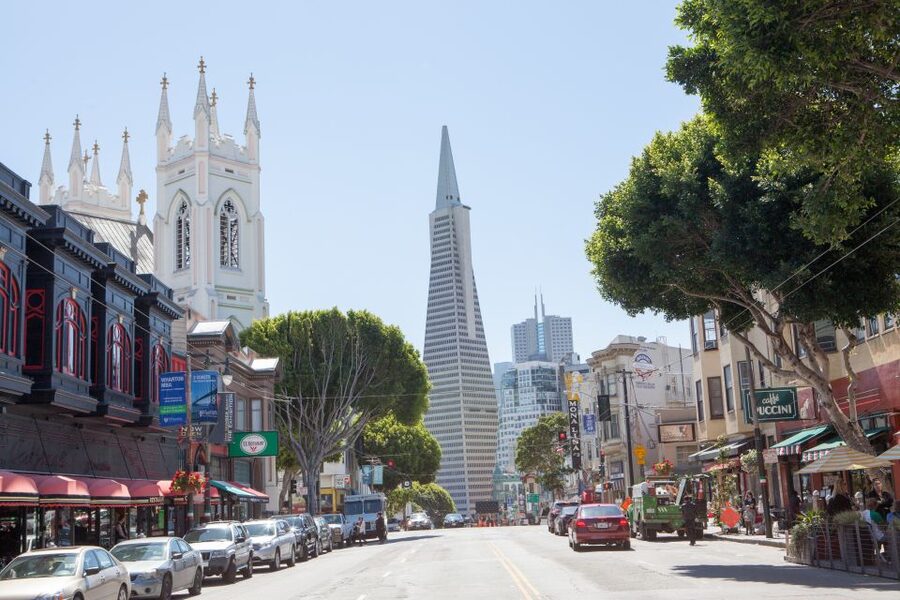 San Francisco City Tour - Alamo Square and the seven Painted Ladies