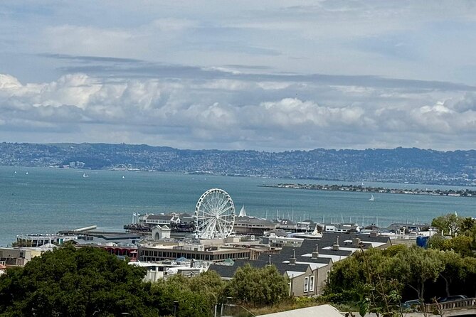 San Francisco City Tour in EV Volkswagen Van - Mission Dolores, the Mission, and Alamo Square