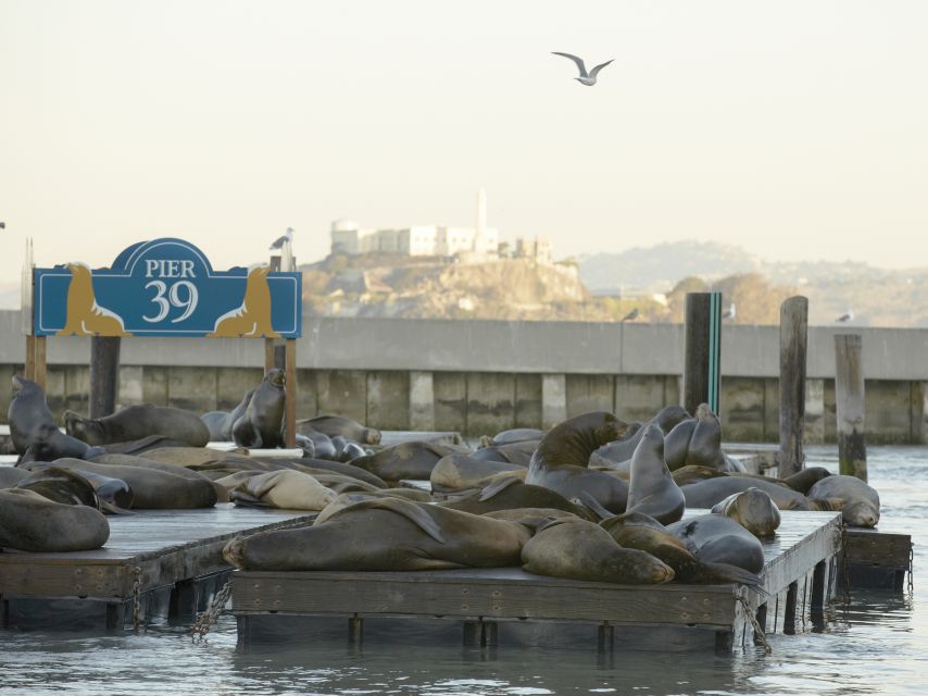 San Francisco CityPASS®: Save 46% at 4 Top Attractions - California Academy of Sciences: your fixed science stop