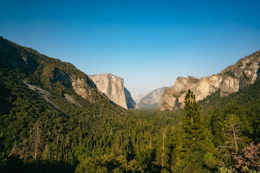 San Francisco: Day Trip to Yosemite with Giant Sequoias Hike - Key points to know before booking