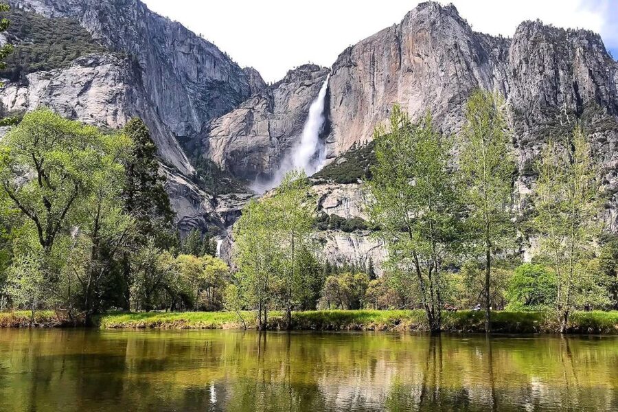 San Francisco: Day Trip to Yosemite with Giant Sequoias Hike - Is $209 a fair price?