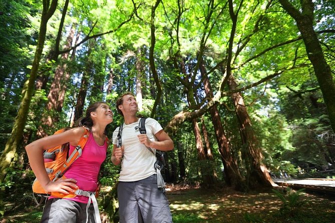 San Francisco Excursion: Guided Tour to Muir Woods and Sausalito - Why Muir Woods makes this half-day trip worthwhile