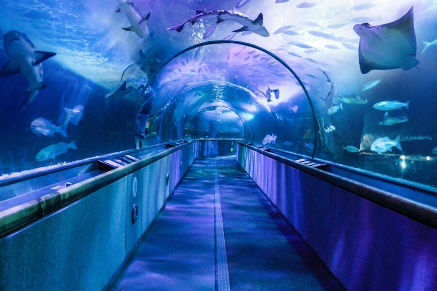 San Francisco: Go City All-Inclusive Pass 30+ Attractions - Building a one-day itinerary