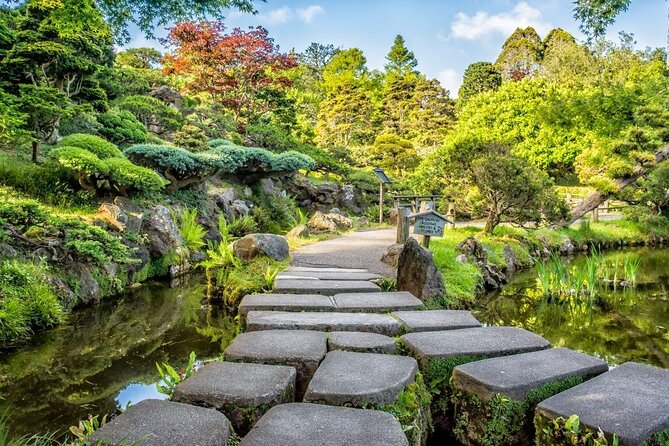 San Francisco Golden Gate Park Tour - Key points at a glance