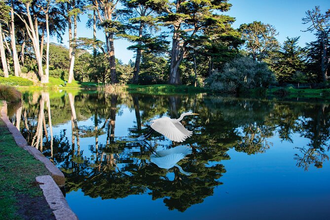 San Francisco Golden Gate Park Tour - Crossing toward the Dutch Windmill and Ocean Beach