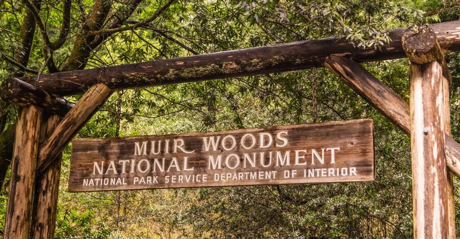San Francisco Golden Gate Sausalito Muir Woods Private Tour - Golden Gate Park’s Japanese garden, lake, and bison