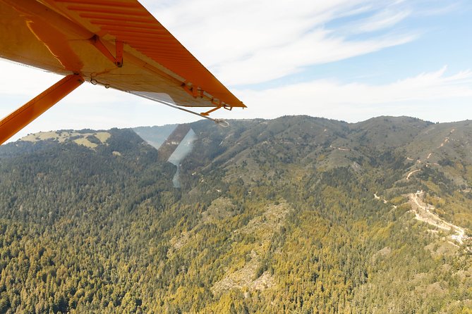 San Francisco Golden Gate Seaplane Tour - Why this short flight gives you a new view of San Francisco