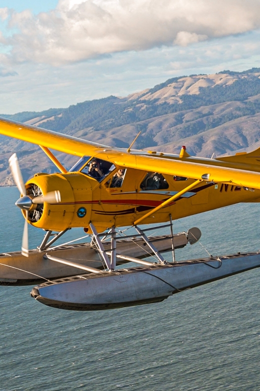 San Francisco: Greater Bay Area Seaplane Tour - Stinson Beach and Muir Woods From the Air