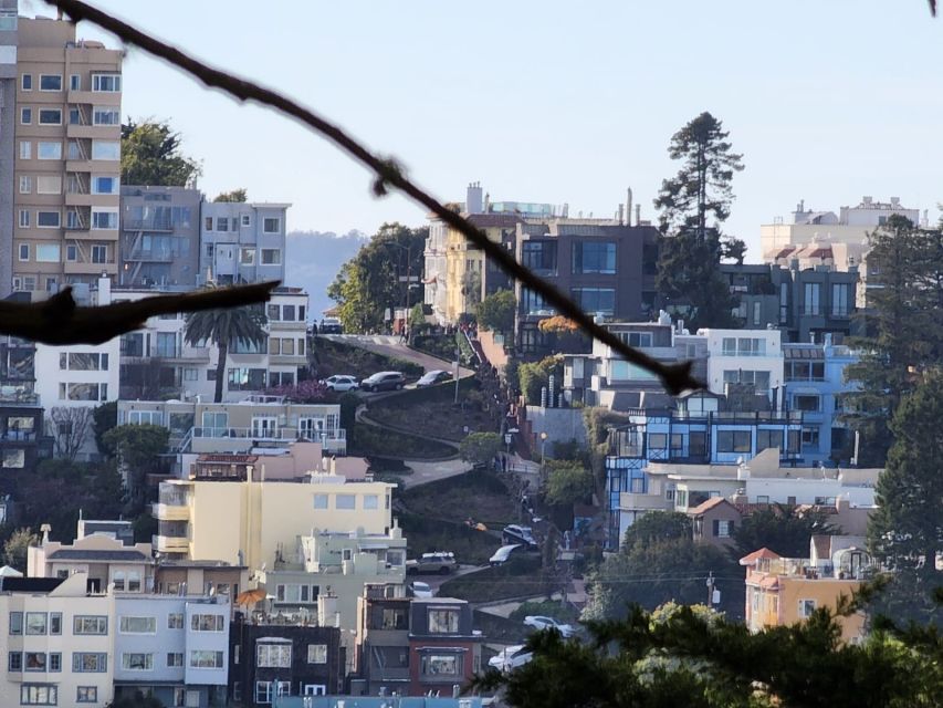 San Francisco: Guided Half-Day Group City Tour - A quick way to understand San Francisco