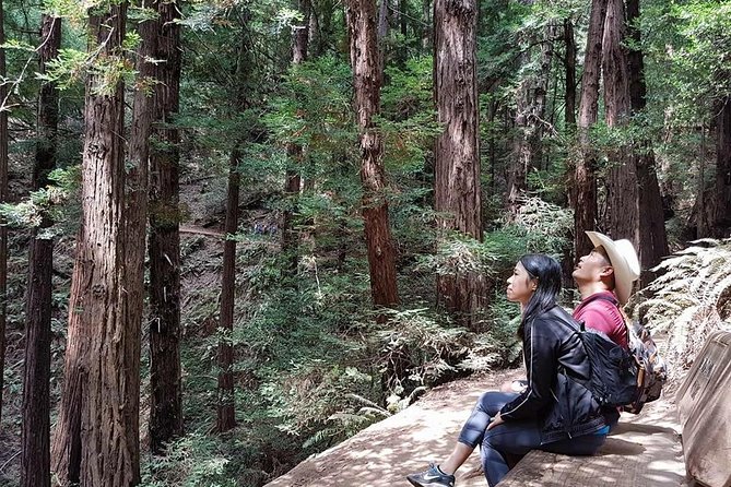 San Francisco: Guided Muir Woods Tour & Hop-on Hop-off Bus Tour - Key points to know before booking