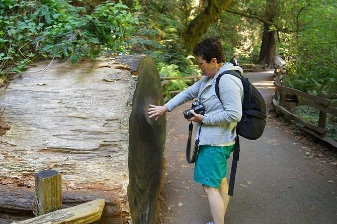 San Francisco: Guided Muir Woods Tour & Hop-on Hop-off Bus Tour - Practical details that affect your day