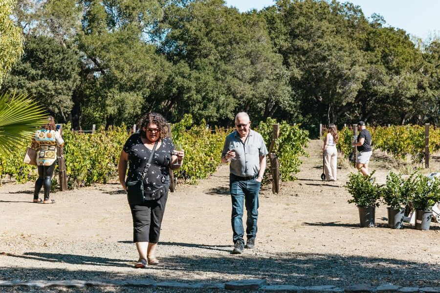 San Francisco: Half-Day Wine Country Excursion with Tastings - The return ride and optional city add-ons