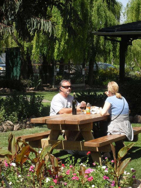 San Francisco: Half-Day Wine Country Tour with Wine Tastings - From Marin County to the vineyards