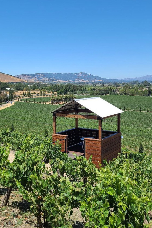 San Francisco: Half-Day Wine Tour with 2 Tastings Included - Key points to know before booking