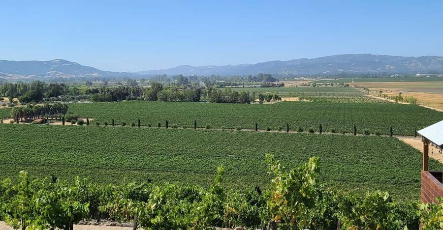 San Francisco: Half-Day Wine Tour with 2 Tastings Included - Crossing the Golden Gate Bridge for the first big view